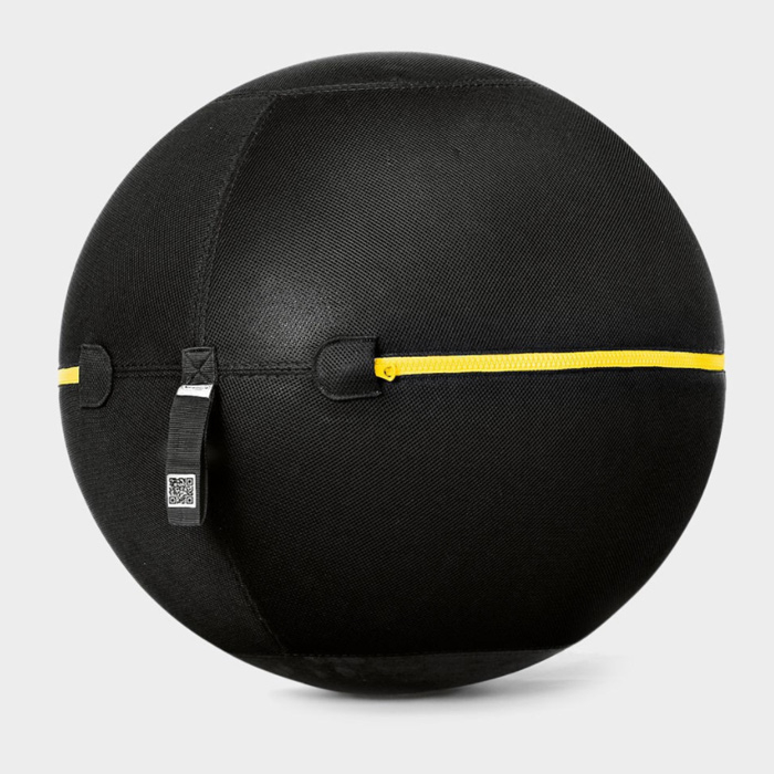 WELLNESS BALL™ 坐姿健身球